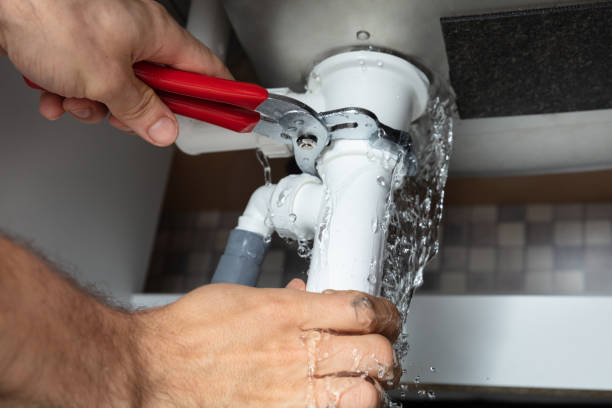 Best Local water damage restoration  in Claryville, KY