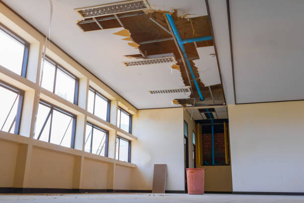 Best Carpet water damage restoration  in Claryville, KY