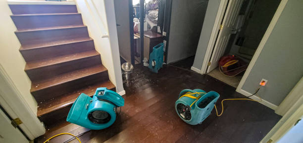 Best Professional water damage repair  in Claryville, KY
