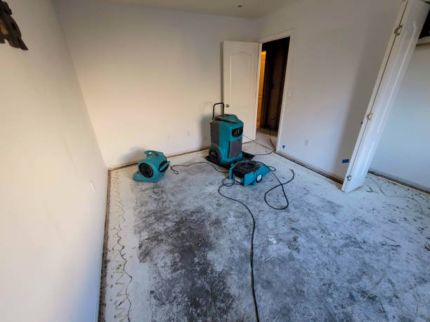 Best Water damage restoration near me  in Claryville, KY