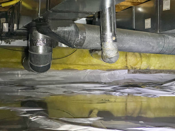 Best Fire Damage Restoration  in Claryville, KY