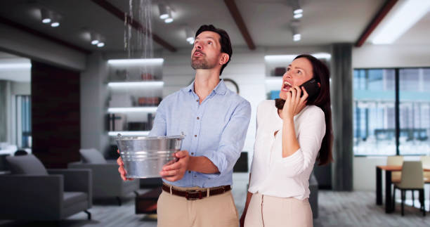 Best Water damage mitigation services  in Claryville, KY